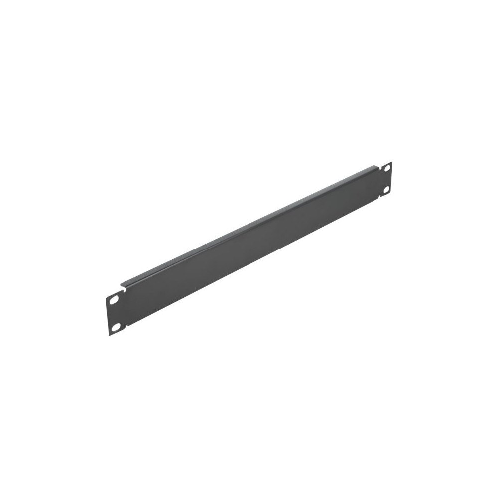 DeLOCK Delock - blindpanel till rack - 1U