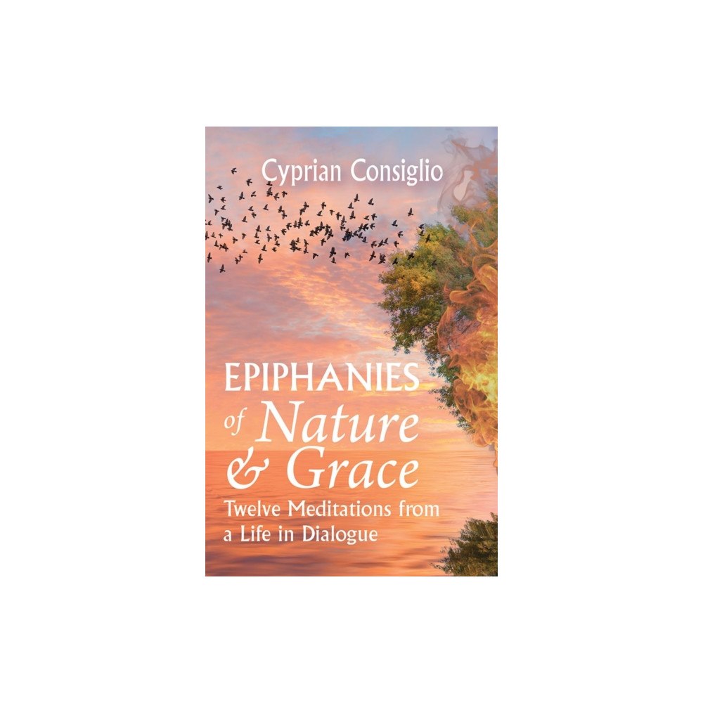 Orbis Books (USA) Epiphanies of Nature and Grace (häftad, eng)