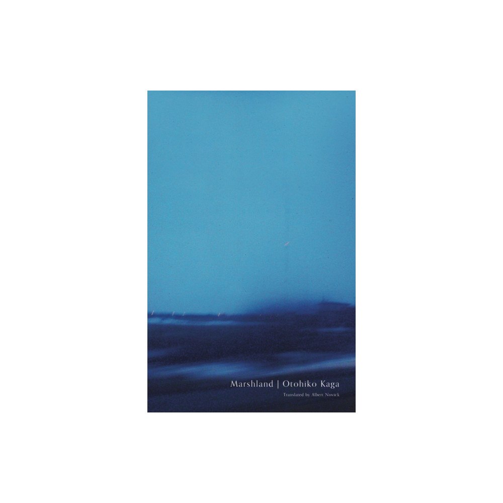 Dalkey Archive Press Marshland (häftad, eng)