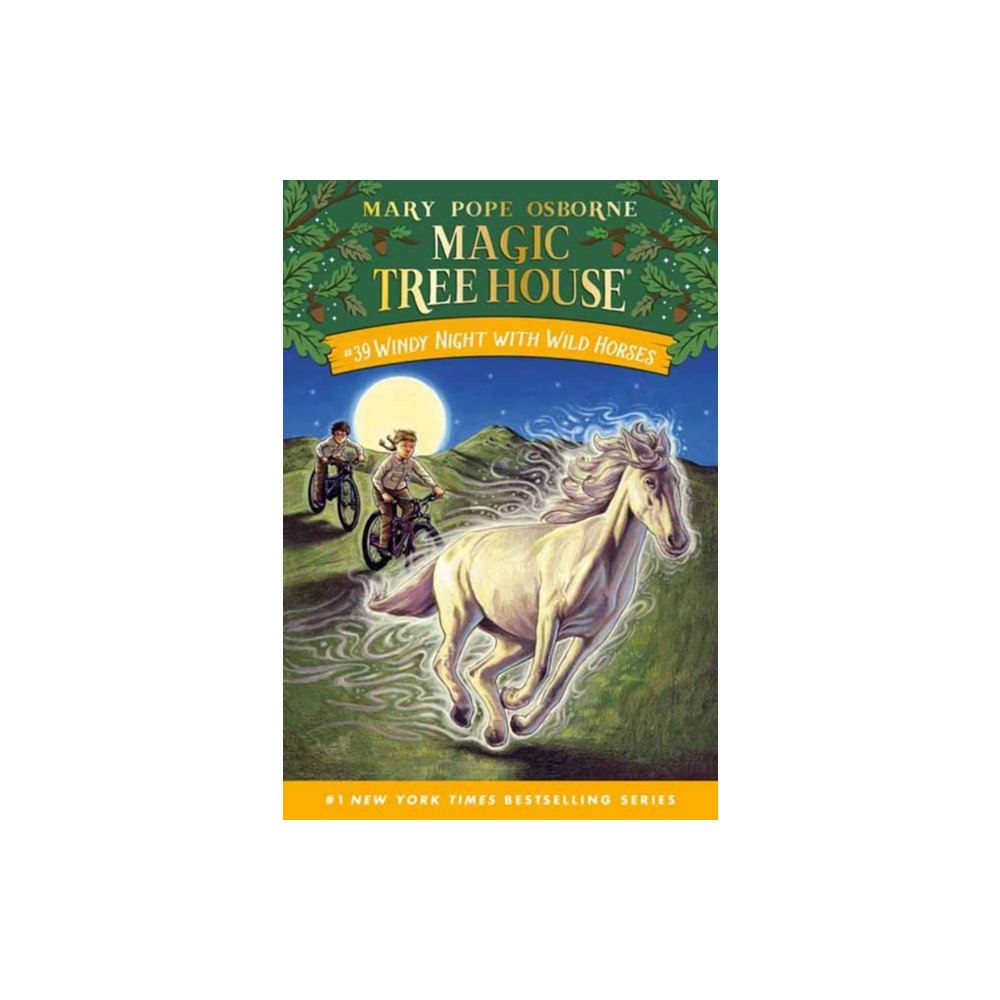 Random House USA Inc Windy Night with Wild Horses (häftad, eng)