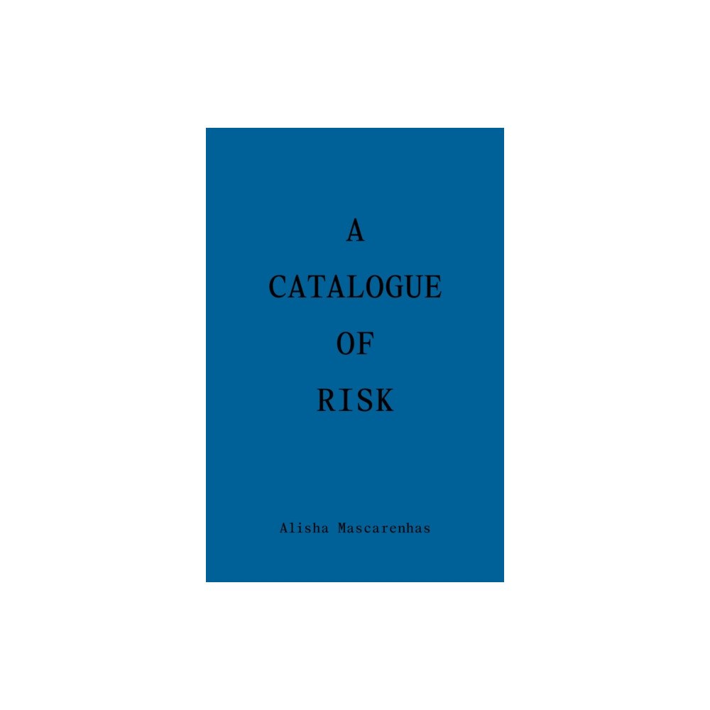 Wendy's Subway A Catalogue of Risk (häftad, eng)