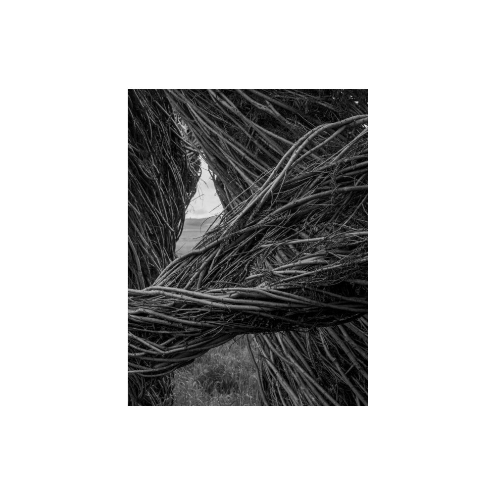 Radius Books Patrick Dougherty | James Florio: Sticks (inbunden, eng)