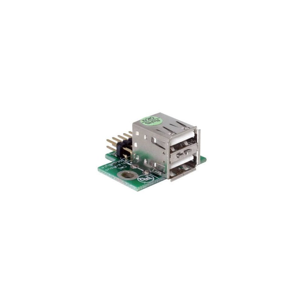 DeLOCK Delock - USB-adapter - 10-stifts USB-överdel till USB