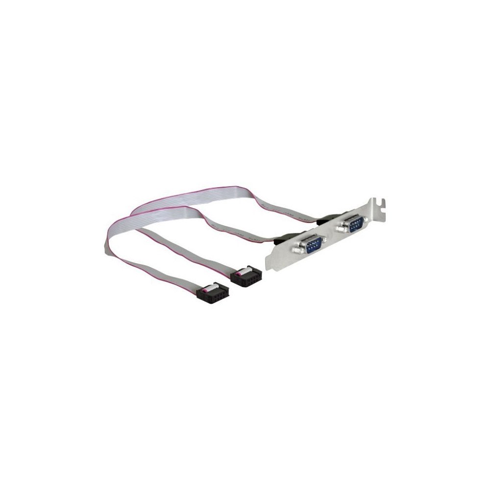 DeLOCK Delock Slotbracket > 2x serial - seriell panel - 9-stifts seriell kontakt till DB-9 - 27 cm