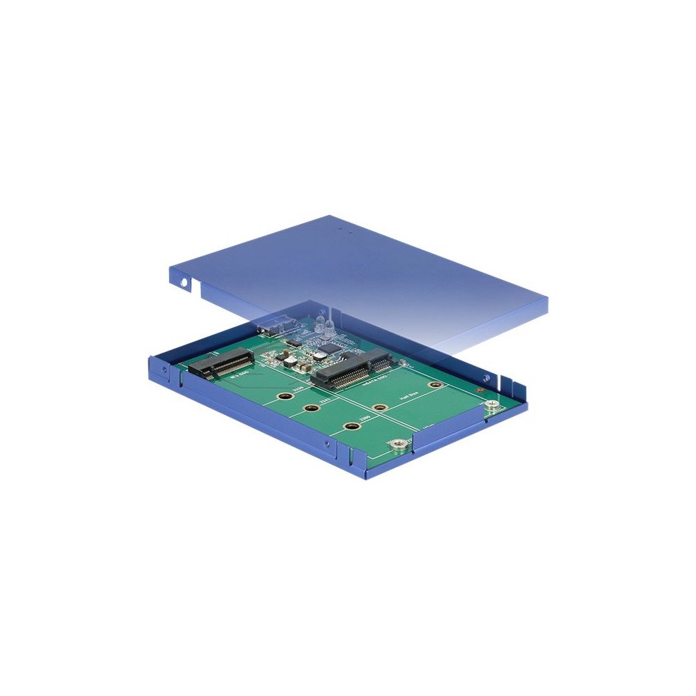 DeLOCK Delock - förvaringslåda - M.2 Card / mSATA - USB 3.1 (Gen 2)