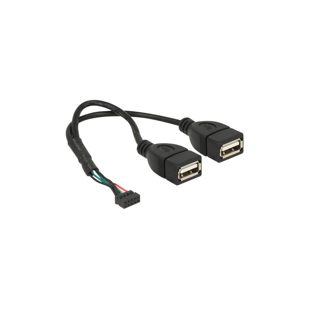 DeLOCK Delock - USB-intern till extern kabel - 10-stifts USB-överdel till USB - 20 cm