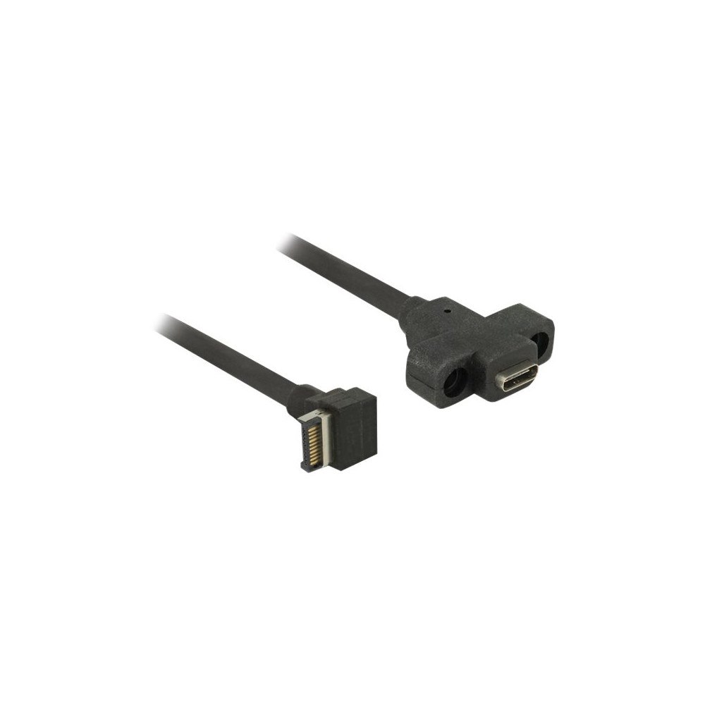 DeLOCK Delock - USB-intern till extern kabel - 20-stifts USB 3.0 överdel till 24 pin USB-C - 45 cm
