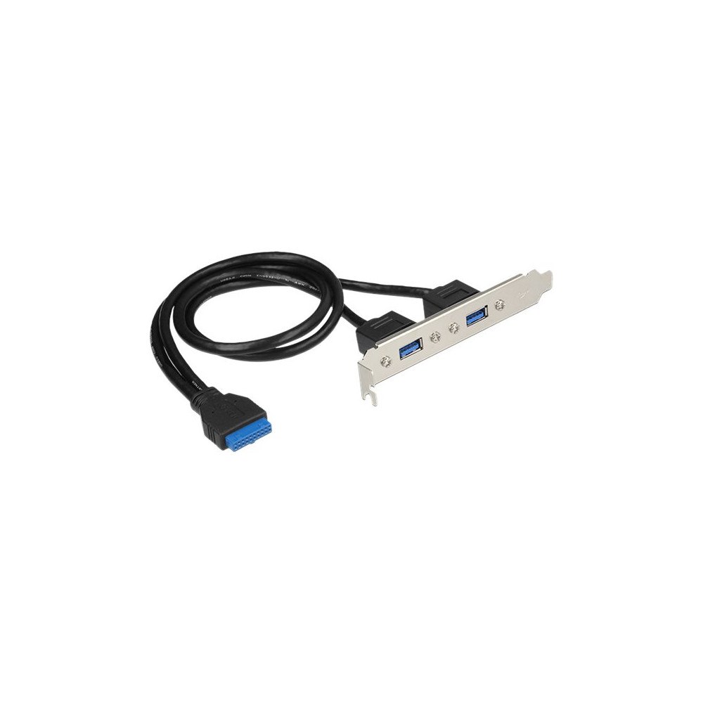 DeLOCK Delock Slot bracket - USB-panel