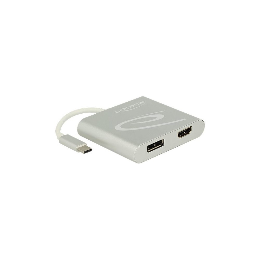 DeLOCK Delock - extern videoadapter - silver