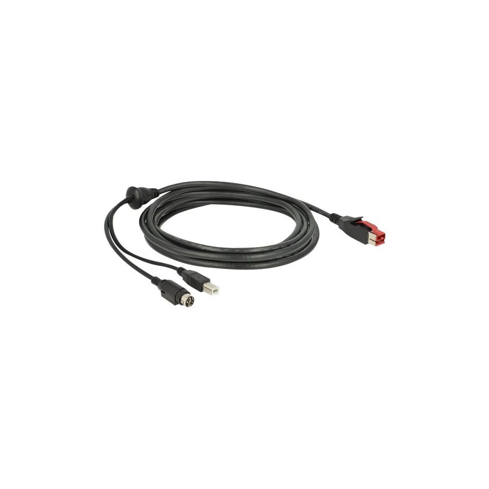 DeLOCK Delock - USB-kabel med egen strömförsörjning - 3 m