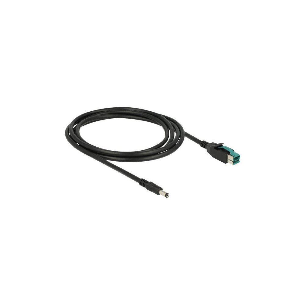 DeLOCK Delock - USB-kabel med egen strömförsörjning - USB PlusPower (12 V) till växelströmsuttag 2,1/5,5 mm - 2 m