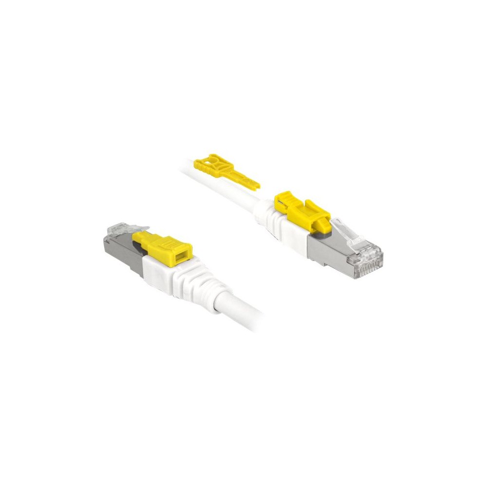 DeLOCK Delock Secure - patch-kabel - 2 m - vit