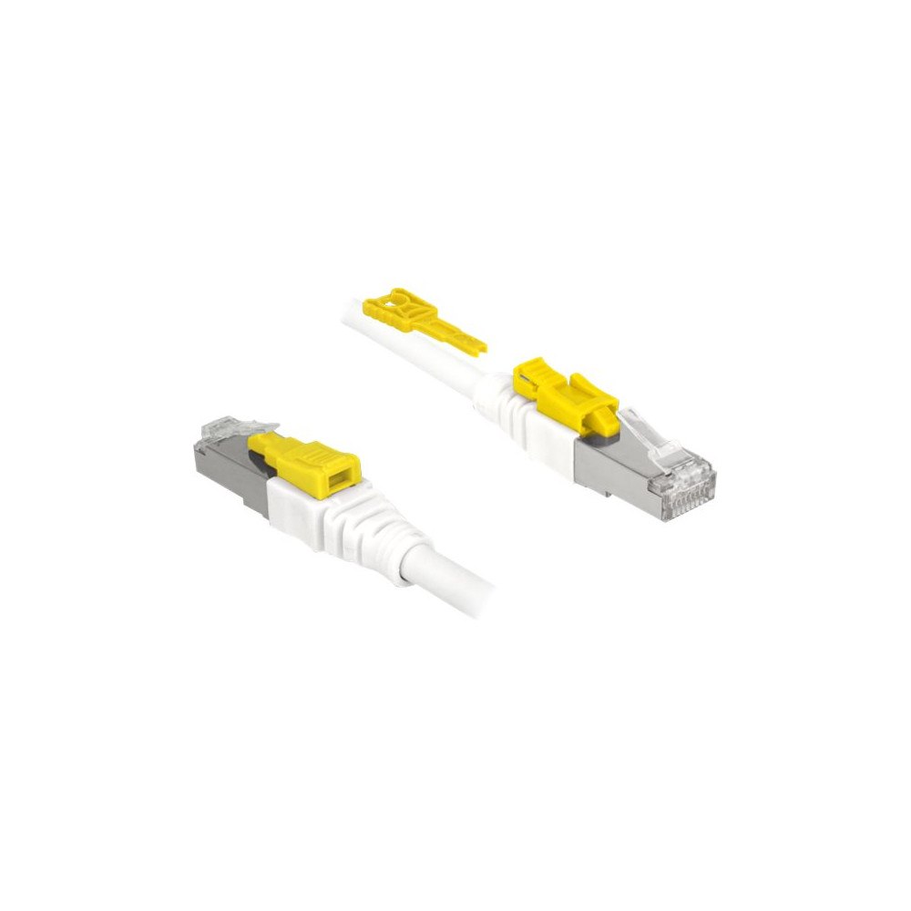 DeLOCK Delock Secure - patch-kabel - 3 m - vit