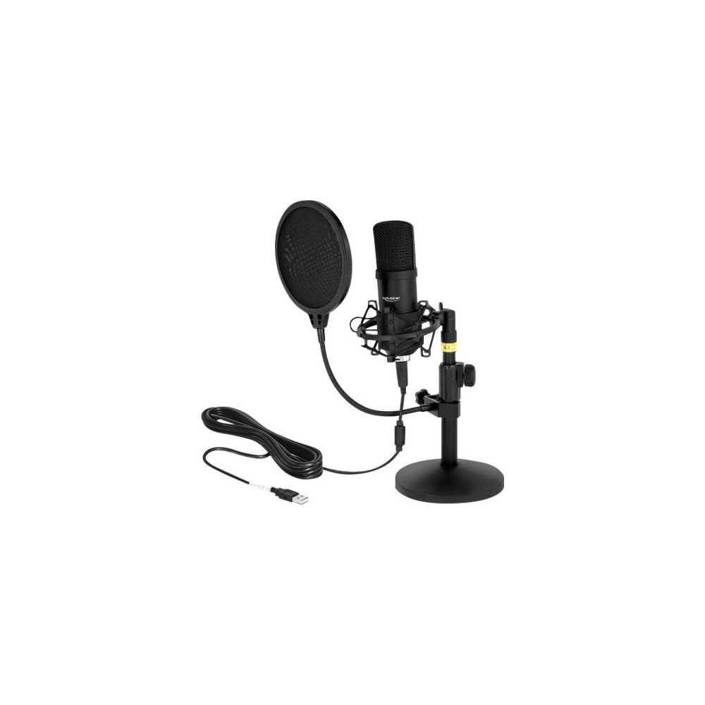 DeLOCK Delock Professional USB Condenser Microphone Set for Podcasting and Gaming - mikrofon