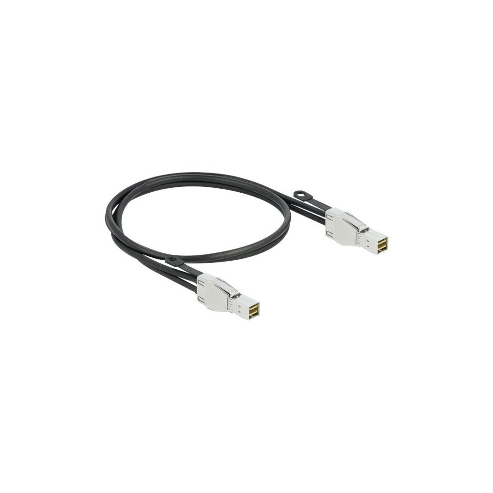 DeLOCK Delock extern SAS-kabel - 2 m