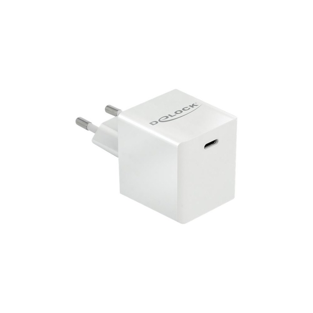 DeLOCK Delock strömadapter - 24 pin USB-C - 40 Watt