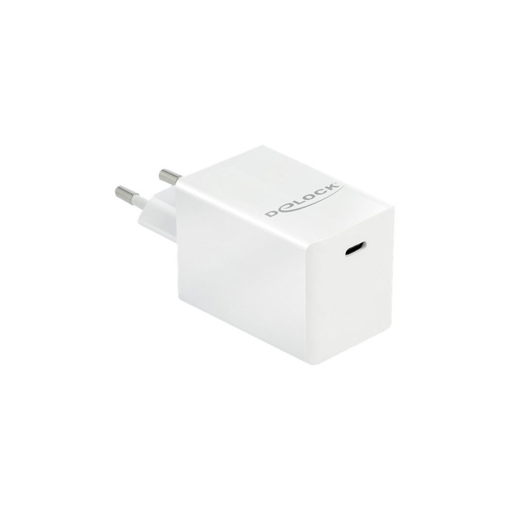 DeLOCK Delock strömadapter - 24 pin USB-C - 60 Watt