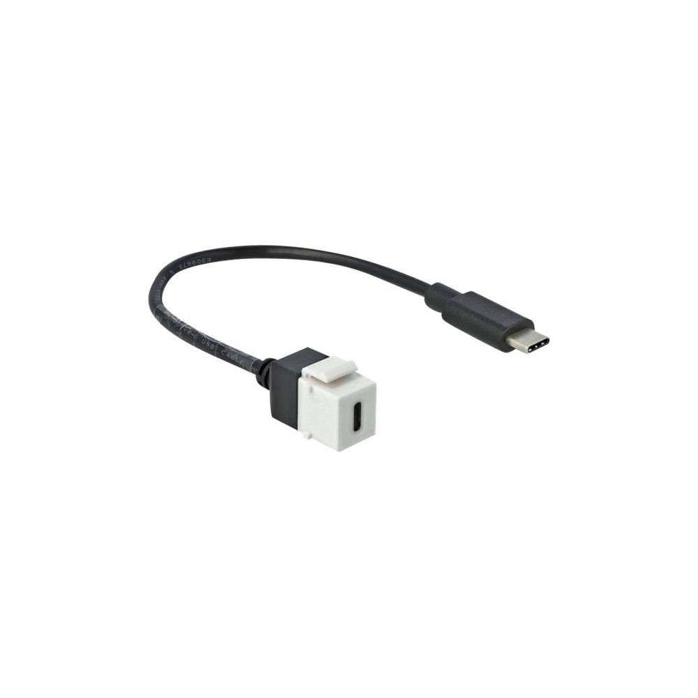 DeLOCK Delock Keystone module - USB typ C-kabel - 24 pin USB-C till 24 pin USB-C - 25 cm