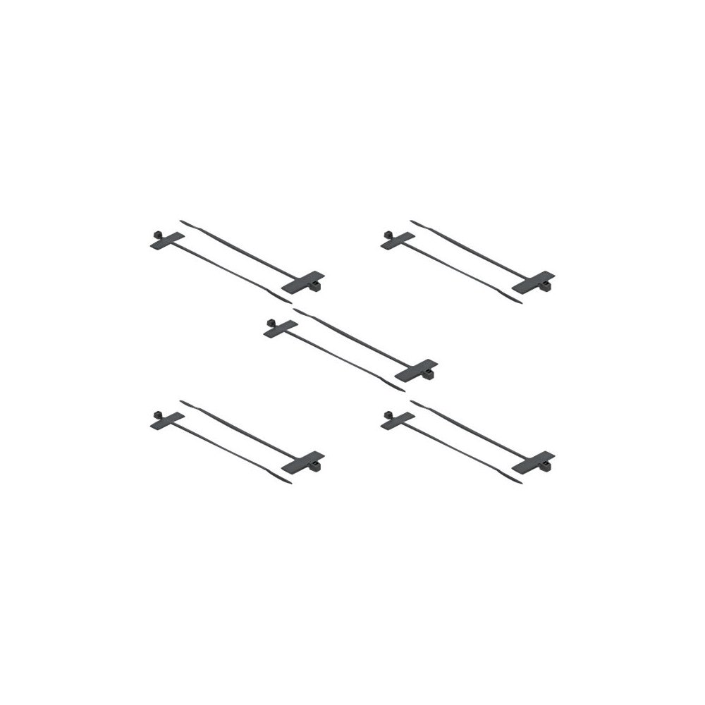 DeLOCK Delock Cable Tie with Label Tap - kabelsamlare