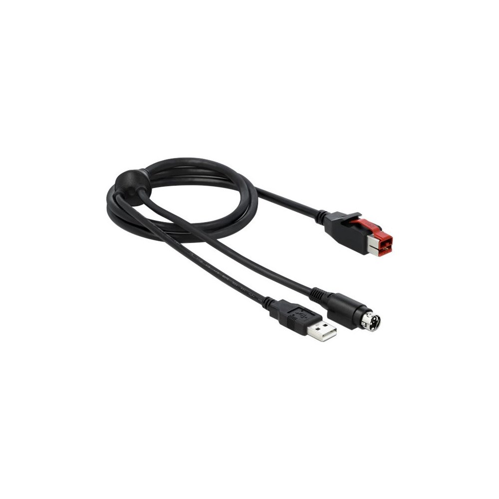 DeLOCK Delock - USB-kabel med egen strömförsörjning - 3 m