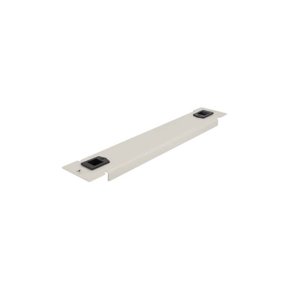 DeLOCK Delock - blindpanel till rack - 1U