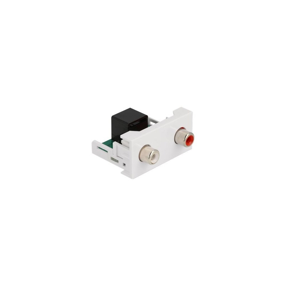DeLOCK Delock Easy 45 - snäppbar modul - vit, RAL 9003