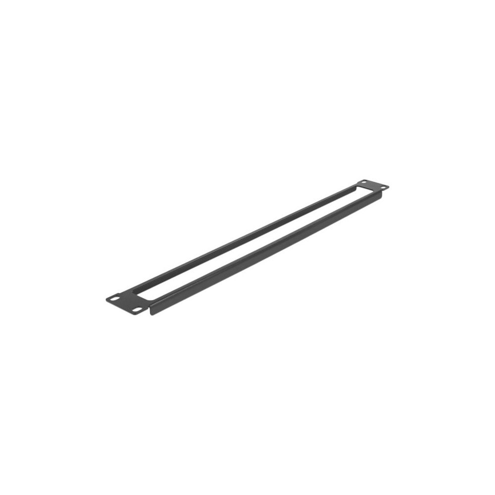 DeLOCK Delock - rackpanel - with opening - 1U