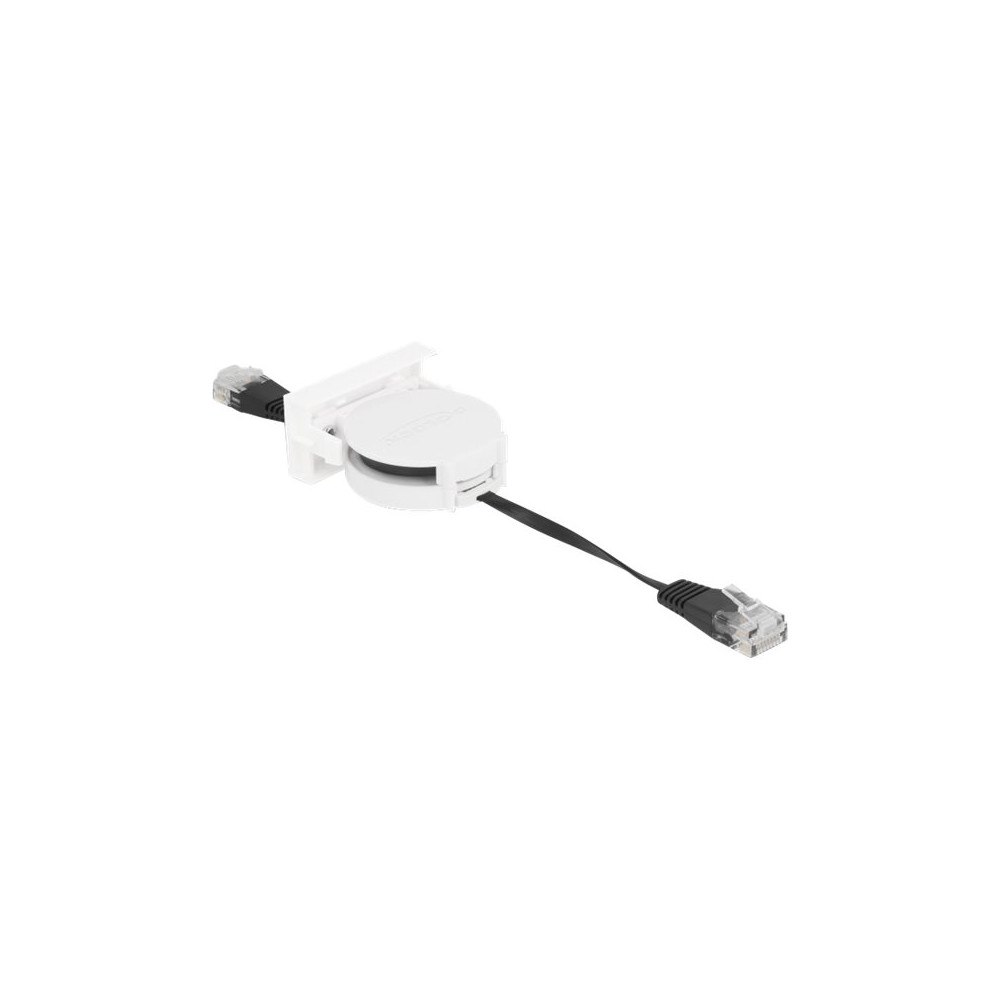 DeLOCK Delock patch-kabel - 50 cm - svart, vit, RAL 9003
