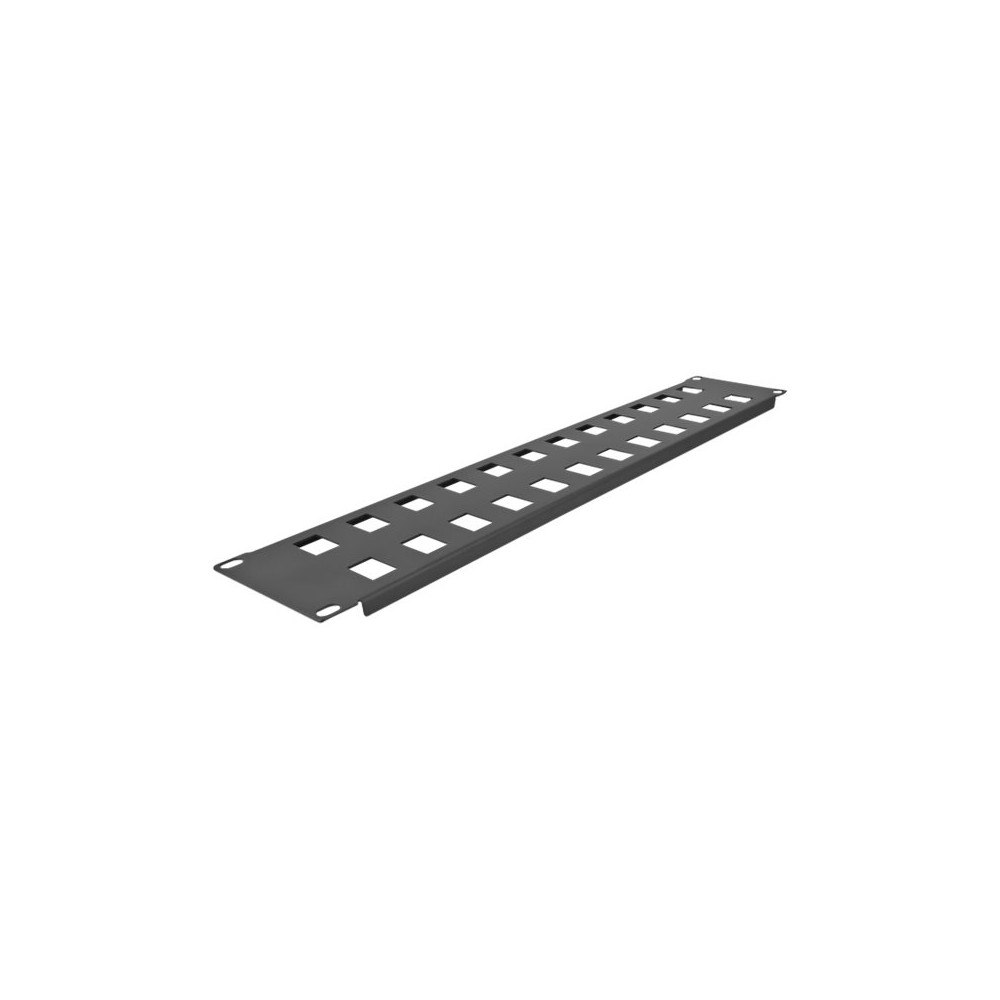 DeLOCK Delock kopplingspanel (tom) - 2U - 19" - snap-in mounting