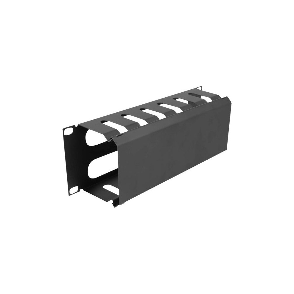DeLOCK Delock rack cable management routing panel - 1U - 10" - with 2 openings