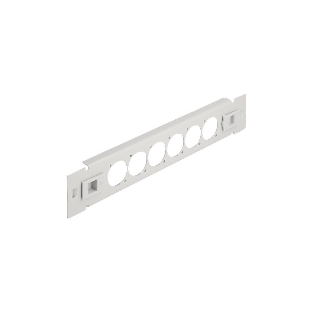 DeLOCK Delock kopplingspanel (tom) - 1U - 10" - D-typ