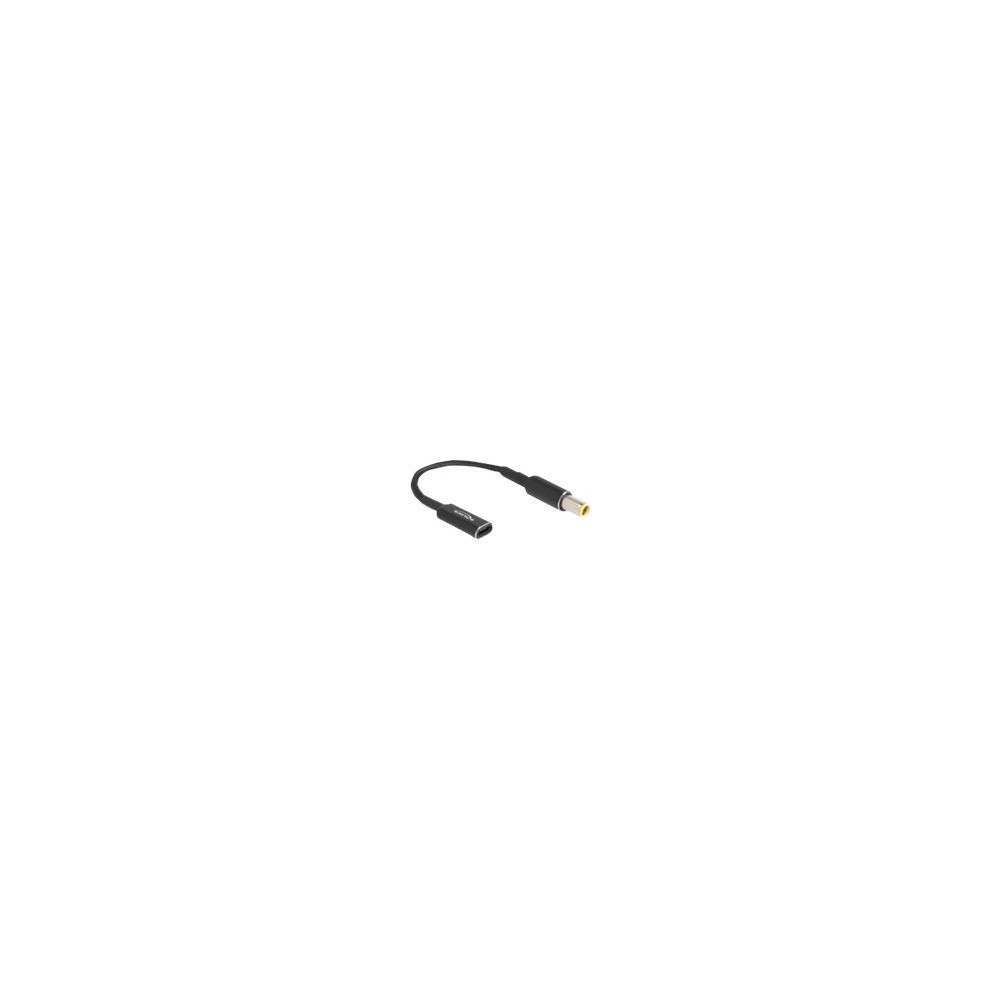 DeLOCK Delock - strömadapter - 24 pin USB-C till likströmskontakt 7,9 x 5,5 mm - 15 cm