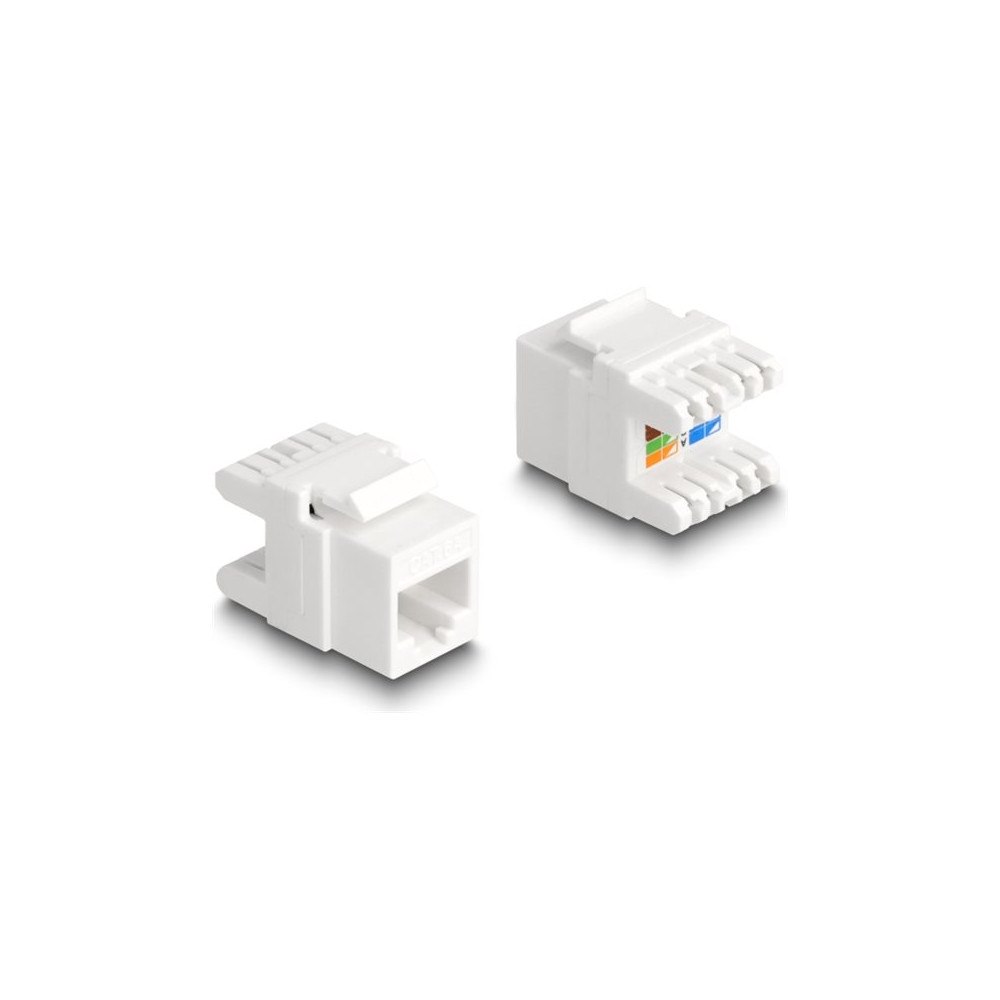 DeLOCK Delock keystone module - vit