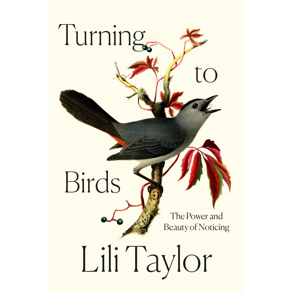 Lili Taylor Turning to Birds: The Power and Beauty of Noticing (inbunden, eng)