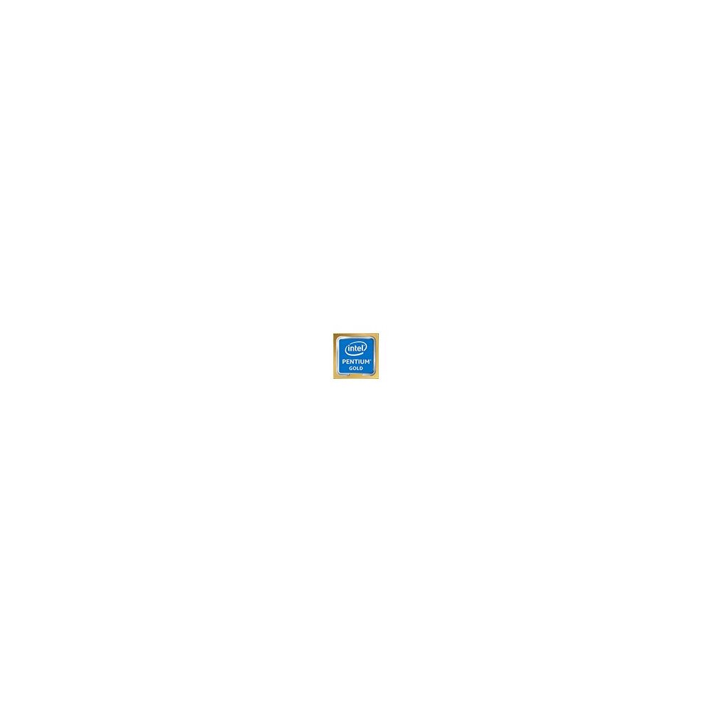 Intel Intel Pentium Gold G6405 / 4.1 GHz processor - Box