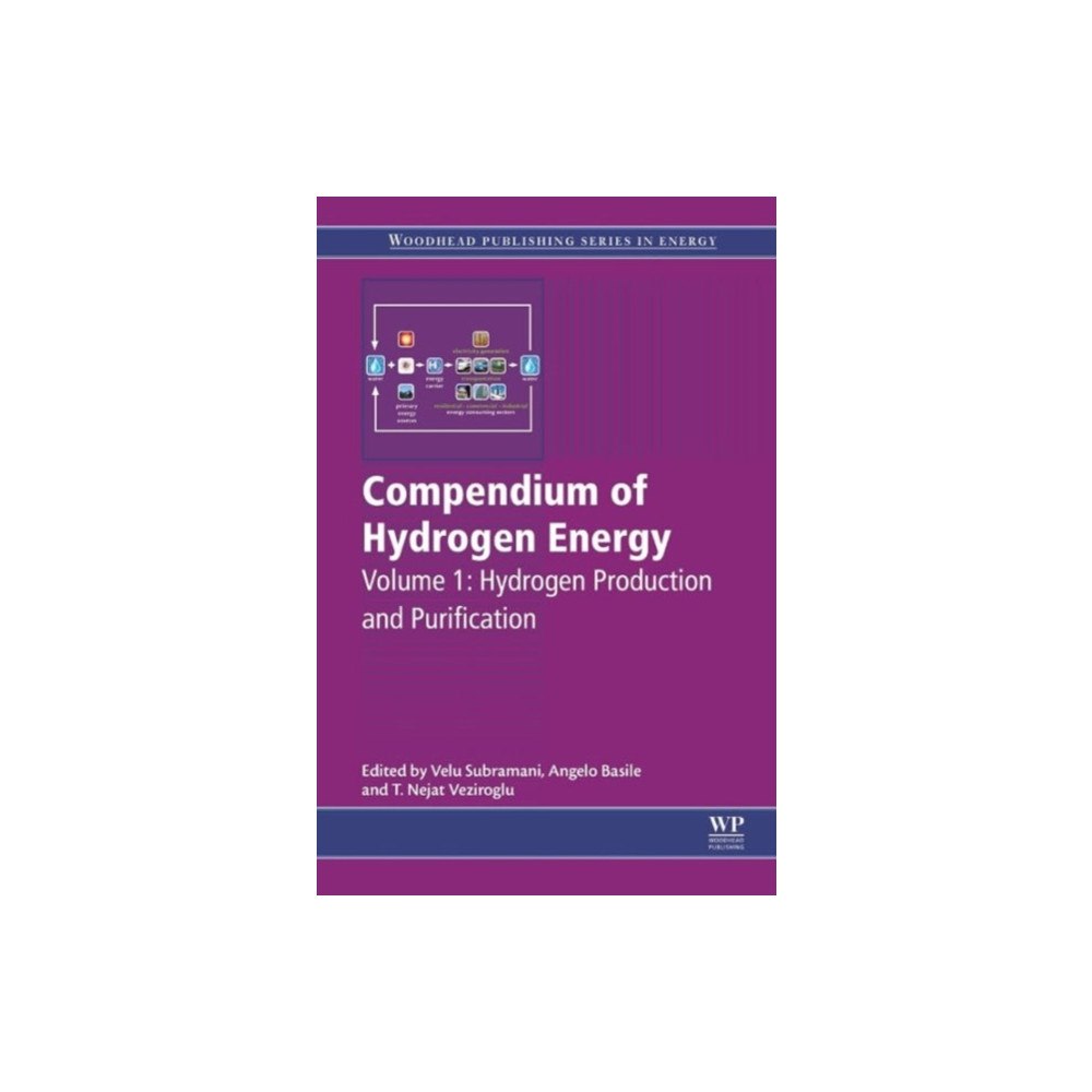 Elsevier Science & Technology Compendium of Hydrogen Energy (inbunden, eng)