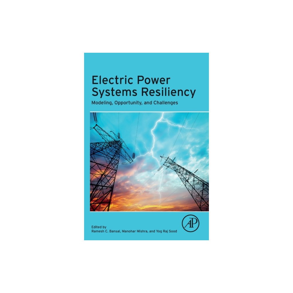 Elsevier Science & Technology Electric Power Systems Resiliency (häftad, eng)