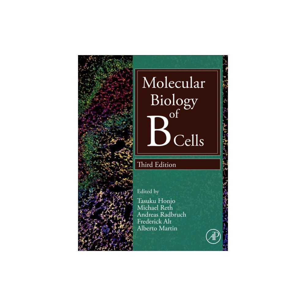 Elsevier Science & Technology Molecular Biology of B Cells (inbunden, eng)