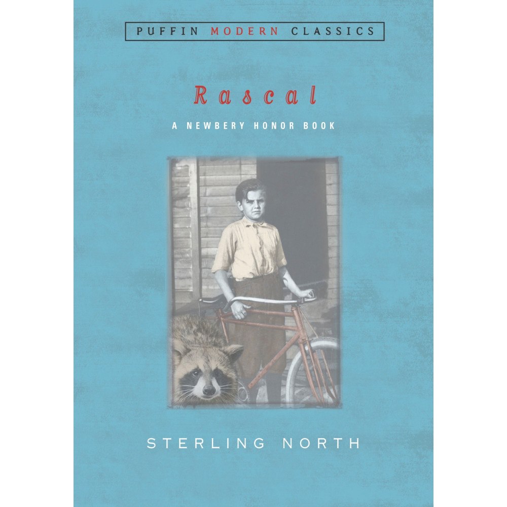 Sterling North Rascal (Puffin Modern Classics) (häftad, eng)