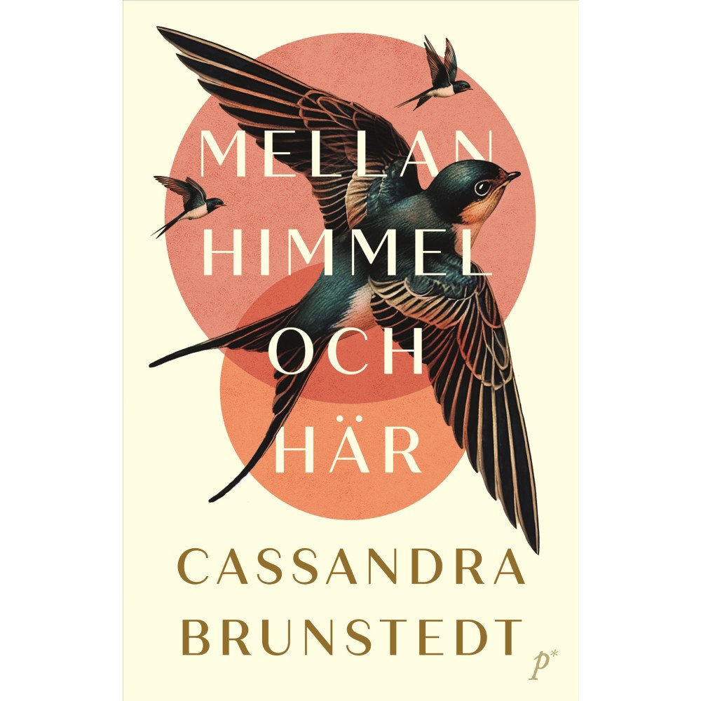 Cassandra Brunstedt Mellan himmel och här (pocket)