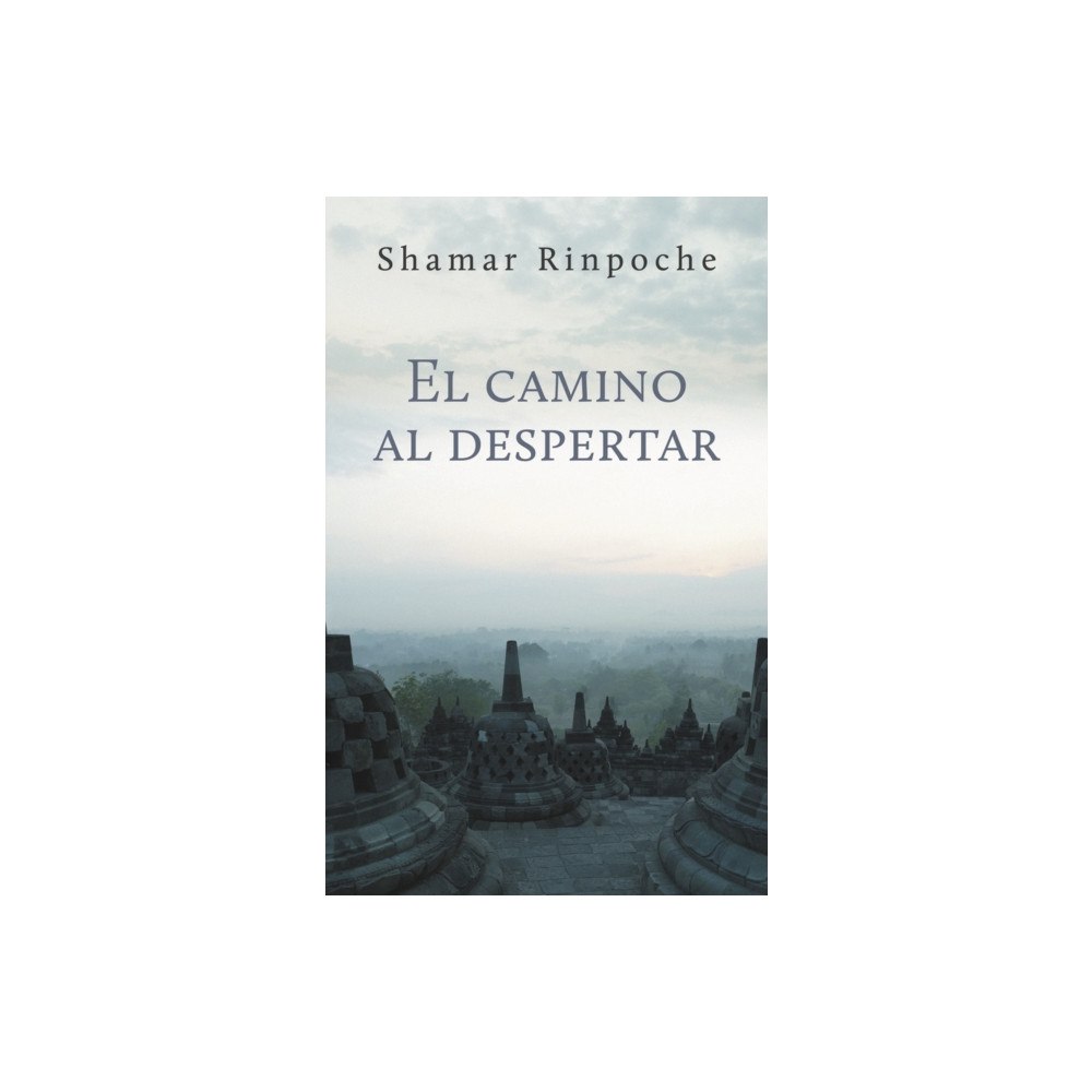 Rabsel Editions El camino al despertar (häftad, eng)