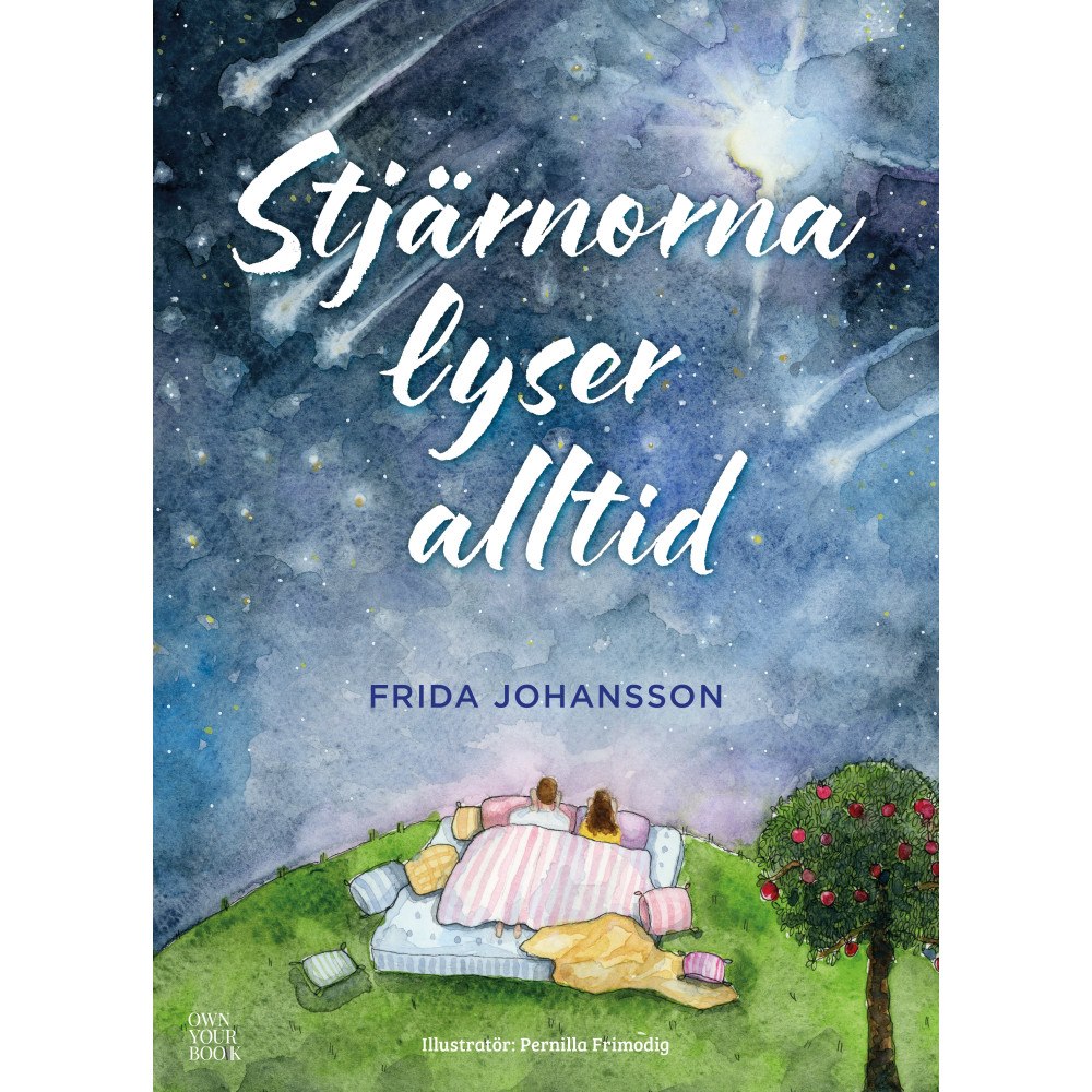 Frida Johansson Stjärnorna lyser alltid (bok, kartonnage)