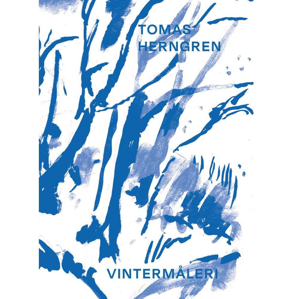 Tomas Herngren Vintermåleri (inbunden)