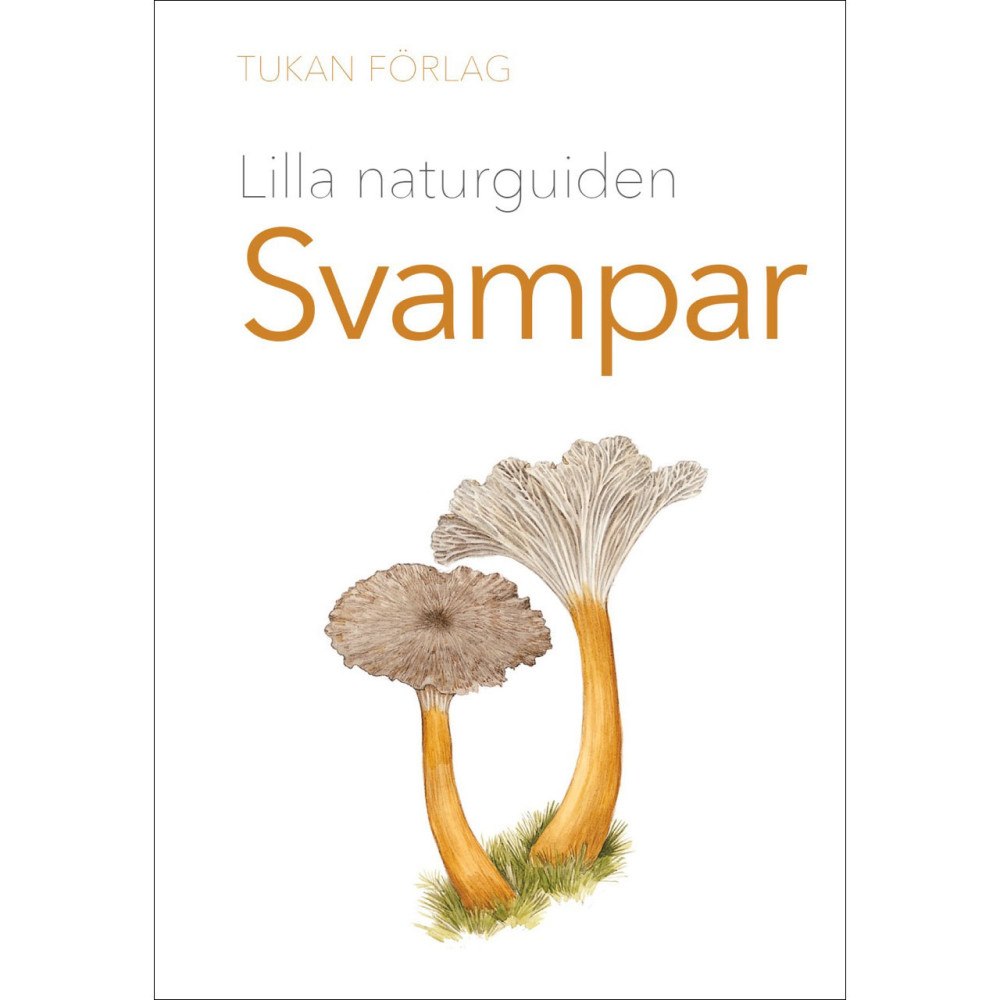 Tukan Förlag Lilla naturguiden: Svampar