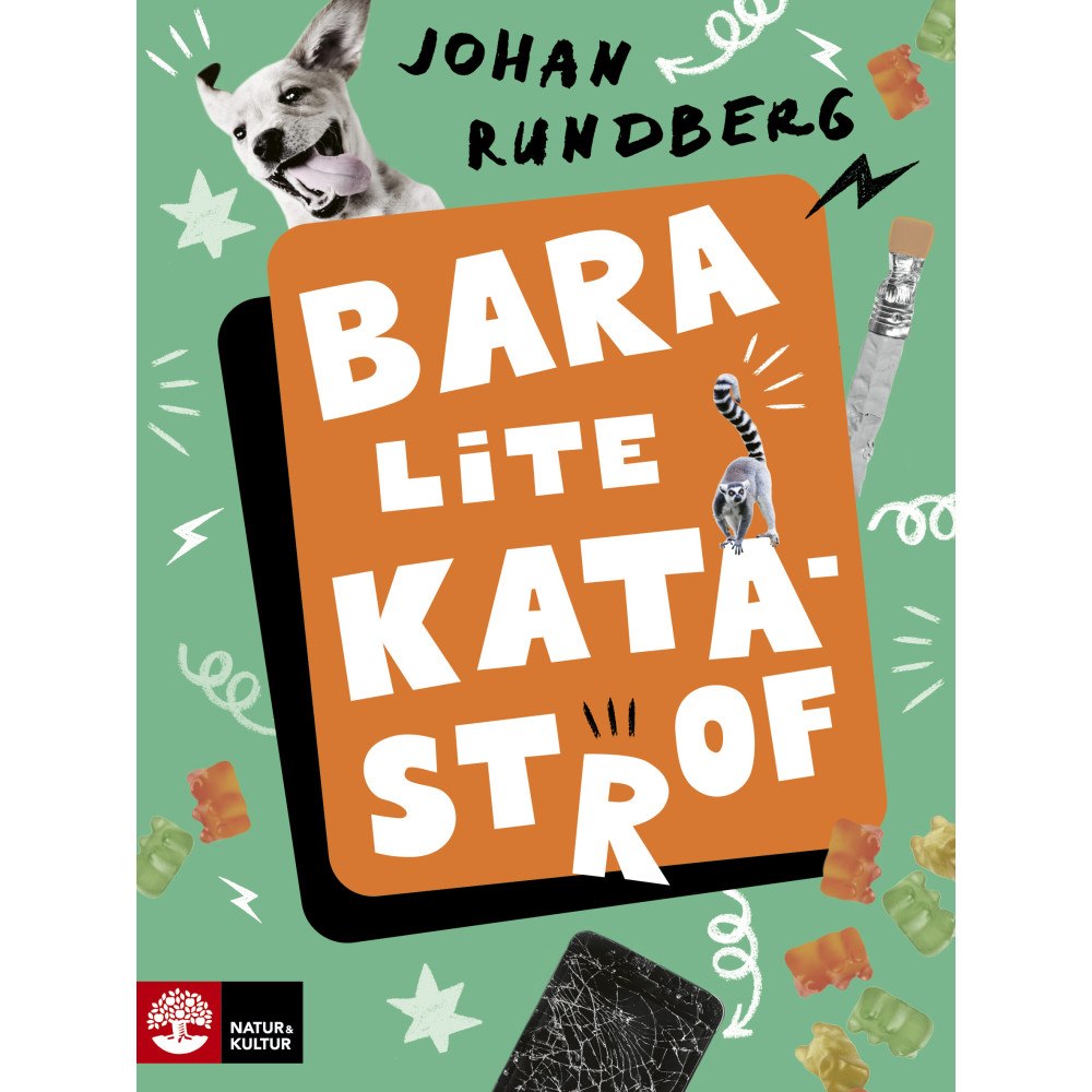 Johan Rundberg Bara lite katastrof (inbunden)