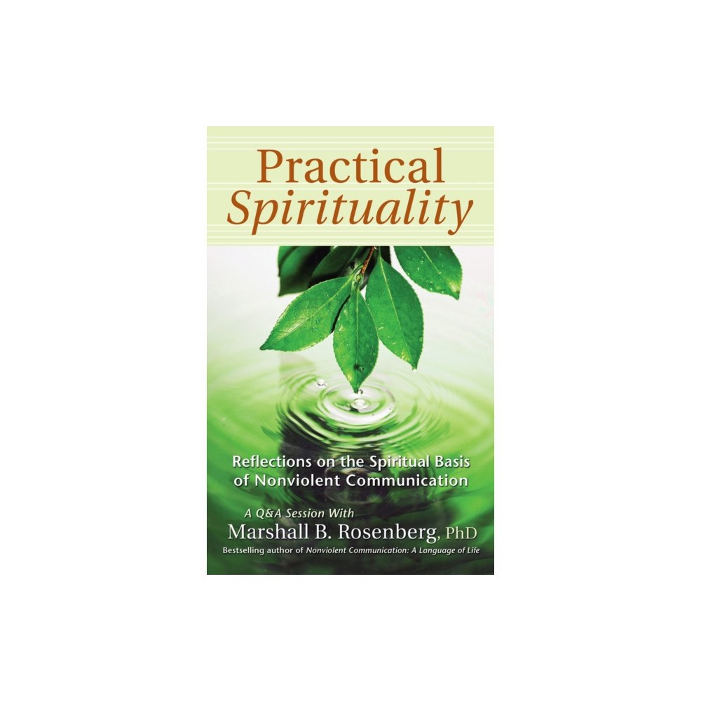 Puddle Dancer Press Practical Spirituality (häftad, eng)