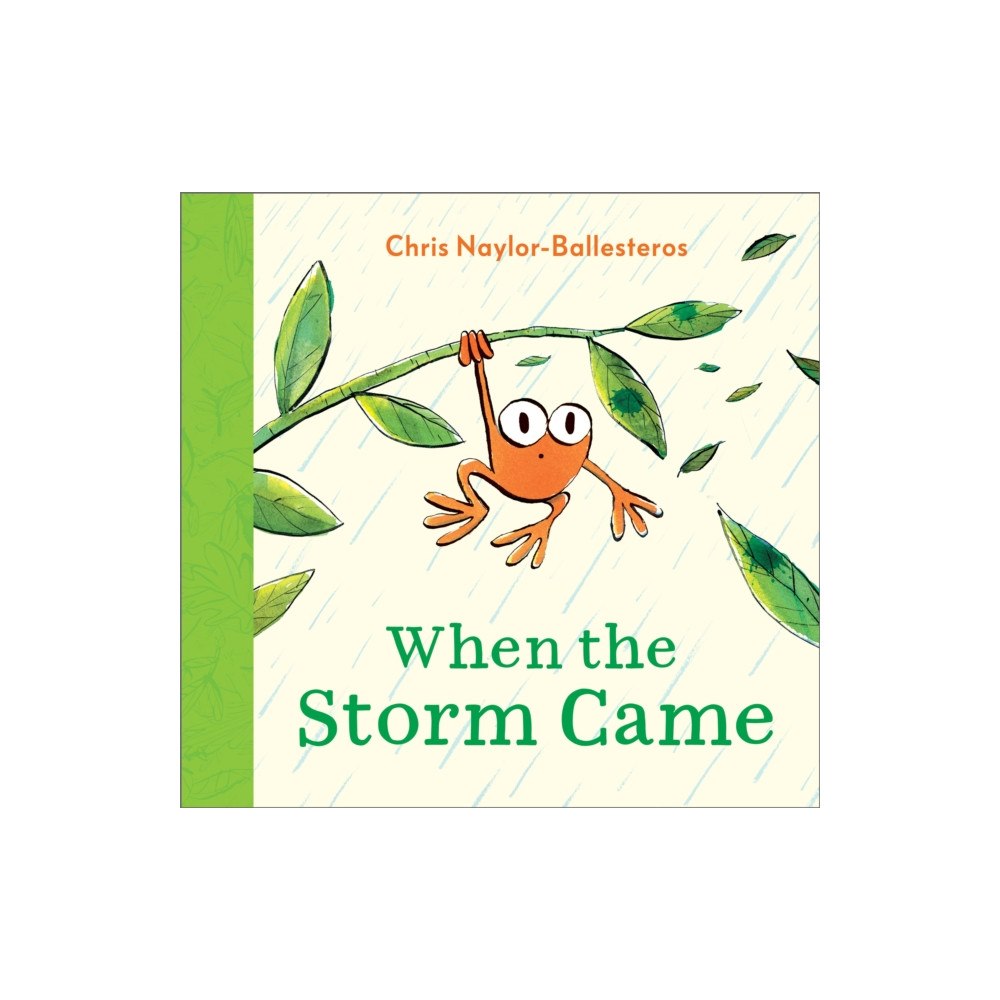 Andersen Press Ltd When the Storm Came (häftad, eng)