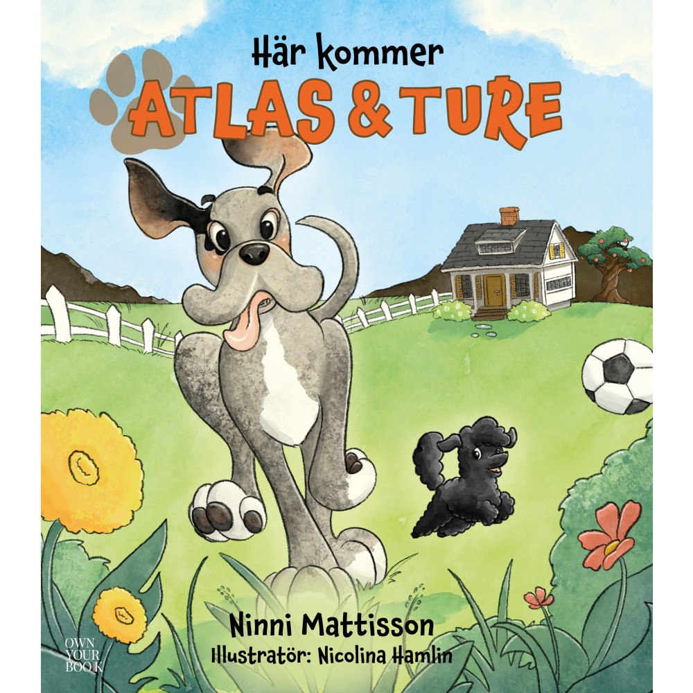 Ninni Mattisson Här kommer Atlas och Ture (bok, kartonnage)