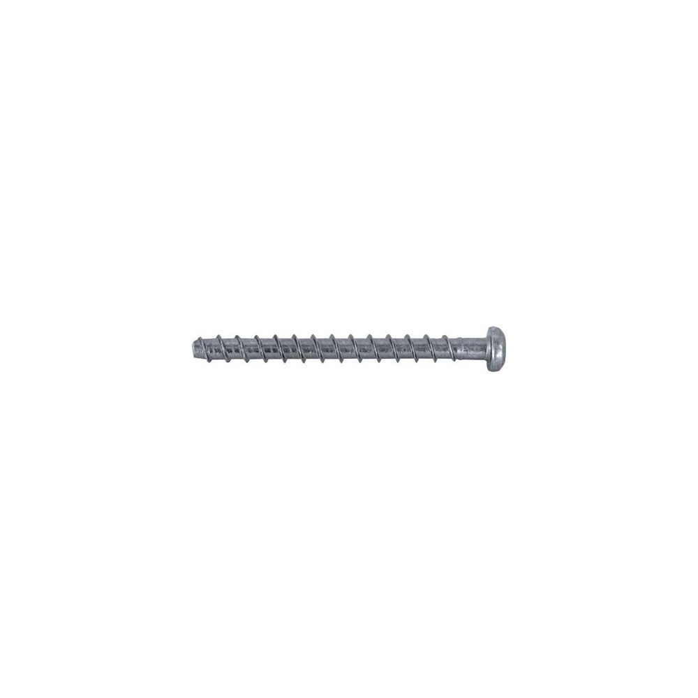 EXPANDET Expandet Multi-Monti betongbult 5x30 panhuvud för betong och...