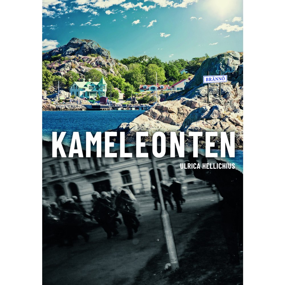 Ulrica Hellichius Kameleonten (bok, storpocket)